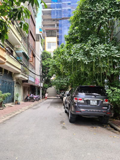 Cho thuê nhà ngõ 6 phố Mạc Thái Tổ. DT 50m x 6 tầng thông có Thang Máy