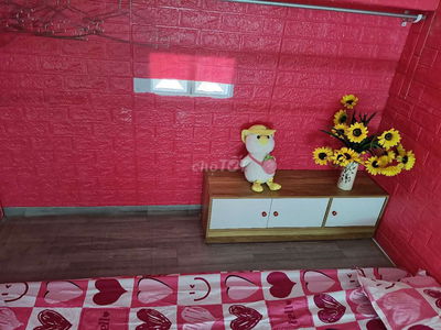 Phòng cho thuê giá rẻ, giờ giấc tự do, khoá vân tay, ko phí quản lý