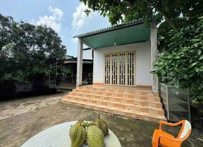Chính Chủ Bán Ngộp Nhà cấp 4, Vườn Cây Trái rộng 2600m2, Giá 630 triệu
