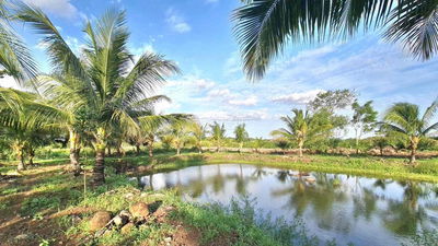 Bán Nhà Vườn 11000m2, View Suối, View Hồ cá, tại Sông Ray, Cẩm Mỹ, ĐN