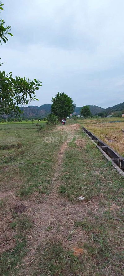 Đất CLN bán