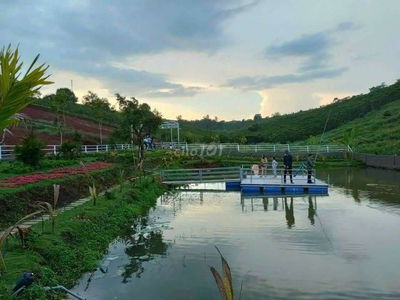 Chủ cần vốn bán gấp 1 sào khu nghỉ dưỡng Bảo Lộc