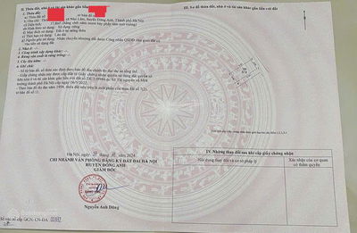 LÔ GÓC  PHÚC THỌ, MAI LÂM  ĐÔNG ANH CÁCH VINHOMES 3KM, CẦU ĐÔNG TRÙ 2KM, CẦU TỨ LIÊN 1KM