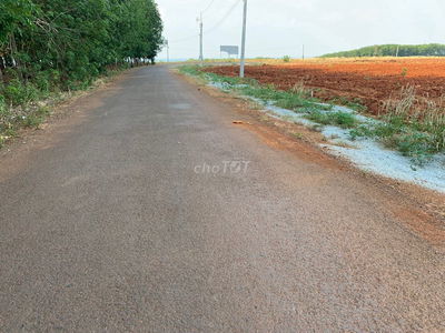 4ha đất chỉ còn 720trđ tại xã Thuận Lợi, Huyện Đồng Phú, Bình Phước