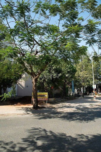 Đất nền KDC Đông Thủ Thiêm, lô góc 214m2 - 34 tỷ, MT Đường 56, rất đẹp