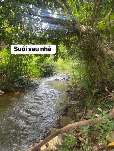Siêu phẩm 1100m2 có 400m2 đất ở view suối, ngang rộng 50m, khó tìm.