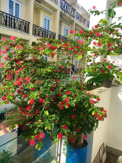 Nhà đường Hà Huy Giáp, gần Cao đẳng điện lực, quận 12, giá 5,3 tỉ