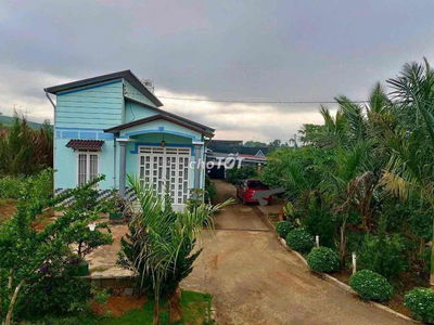 Chuyển nhà nên cần bán lỗ gấp lô 960m2 giá 300triệu sẵn nhà cấp 4