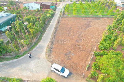 Đất TC cách hồ Ea Kao hơn 1km khu dân cư ở kín chỉ 530tr
