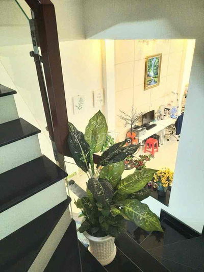 - Cho thuê nhà Nguyên căn  MT Huỳnh Văn Gấm ( Hẻm 74 Tân kỳ Tân quý )