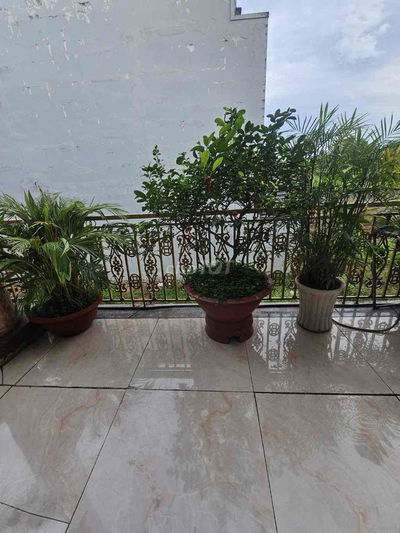 BÁN CĂN BIỆT THỰ TÂM HUYẾT SÀI GÒN
