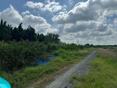 cho thuê đất mặt tiền đường Nguyễn Lương Bằng từ 10.000m - 50,000m