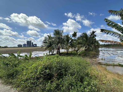 Đất Chính Chủ