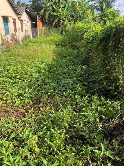 Bán đất Phước Lý Cần Giuộc Long An