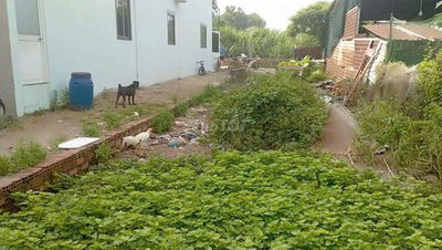 BÁN LÔ Đất thổ cư DT : 5 x 20m , sẹc ngắn đường huỳnh thị mài ,