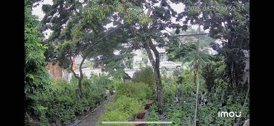 Bán đất lớn , vị trí đẹp