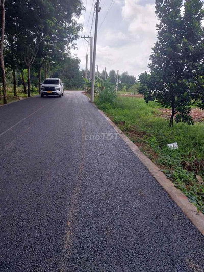 Chính chủ cần bán gấp vườn mít 260m2 100m Thổ Cư ngay DH507 Bình Dương