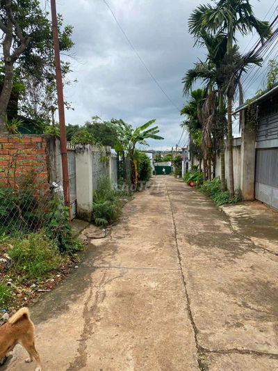 Bán lô đất mặt tiền Y Ni KSor