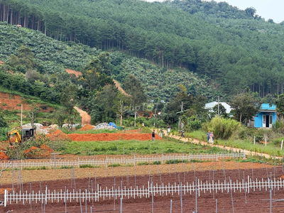 Đất nghỉ dưỡng view săn mây giáp rừng thông Đà Lạt giá chỉ 590 triệu