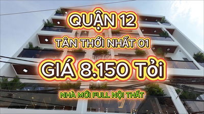 Nhà Mới Full Nội Thất Đường Tân Thới Nhất 01 Quận 12