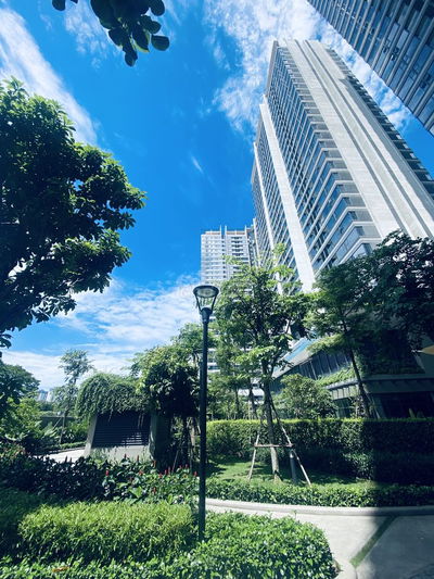 Sống đẳng cấp giữa Trung Tâm Quận 10- căn hộ KingDom101 Cho thuê
