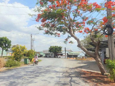 Hàng ngộp, 125 m2 đất thổ đường ô tô nguyễn văn lũy chỉ 420tr