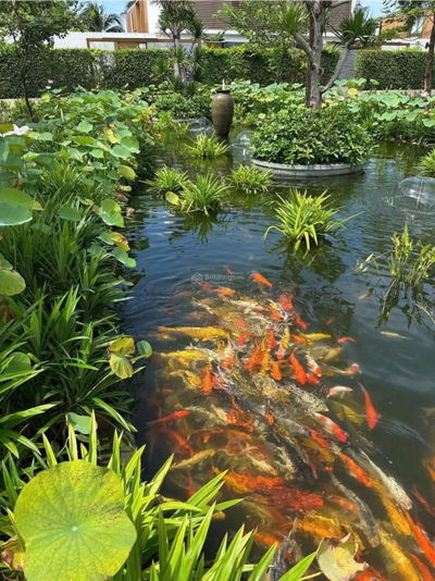 HIẾM CÓ! Biệt thự biển Hạ Long, sổ hồng lâu dài, bãi tắm riêng, nhận nhà ngay, giá tốt nhất