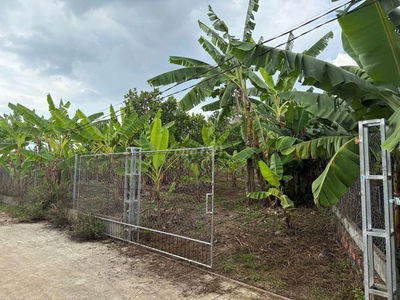BÁN GẤP LÔ ĐẤT VƯỜN TRÁI CÂY 2000M2 TẠI THỐNG NHẤT - NGÃ TƯ DẦU GIÂY