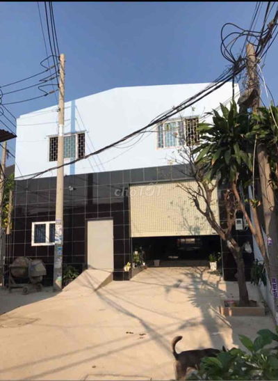 500 m2 kho xưởng Full thổ cư Trần Đại Nghĩa Bình Chánh .