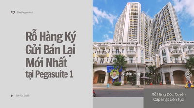HÀNG HIẾM tại Căn Hộ Pega 1 - 75m2 ( 2 PN,2WC) - Full Nội Thất - Có Sổ - Giá chỉ 4,x tỷ, View Q1