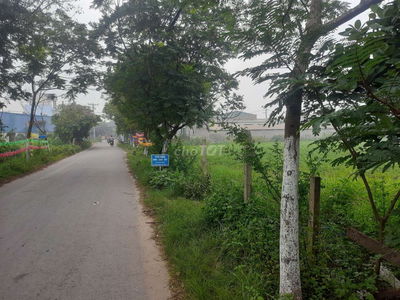 ĐẤT VƯỜN 1000M2 CÓ THỔ CƯ 100M2 SỔHỒNG RIÊNG.ĐINH ĐỨCTHIỆN BÌNH CHÁNH