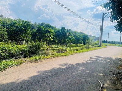 ĐỊNH CƯ NƯỚC NGOÀI BÁN GẤP MÃNH VƯỜN (1.329M2) SHR GẦN SÁT CHỢ, ỦY BAN
