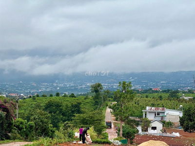 Đất nghỉ dưỡng ven Đà Lạt cách Hồ Tuyền Lâm 3km
