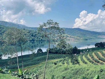 Đất  Phường 1 Thành phố Bảo Lộc 300 Triệu sổ sẵn Full thổ cư Tặng Nhà