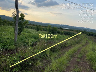 Bán 4,8 ha đất CLN đường đất hẻm QL14, oto vào tận nơi tại Đăk Mil