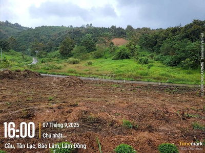 ĐẤT NGỘP GIÁ ĐẦU TƯ TÂN LẠC