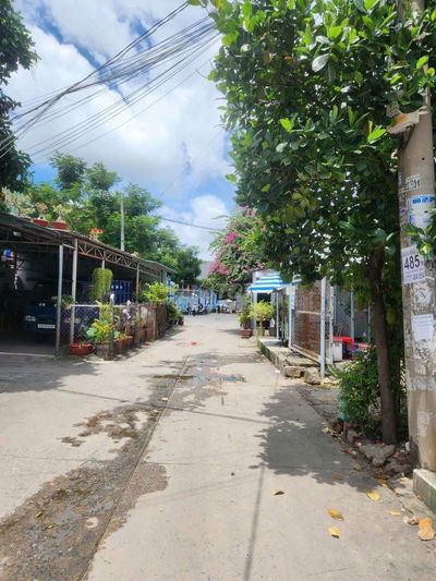 Cho thuê nhà nguyên căn nguyễn văn quá