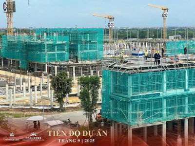 Tháng 9 Tổng hợp quỹ căn Góc đẹp đường lớn, công viên, tiện ích giá đầu tư trực tiếp Vin Đan Phượng