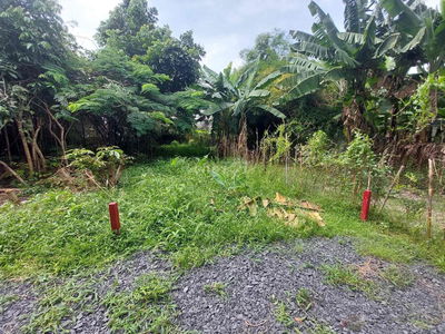 Đất shr 4.2x22m hẻm xe hơi ngay chợ chữ S - Trần Văn Mười