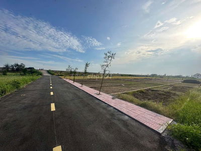 BÁN  ĐẤT BIỂN QUẤT LÂM- NAM ĐỊNH CHỈ 26TR/M2 giá F0 số lượng có hạn