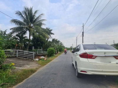 Nhà vườn mặt tiền đường nhựa Tám Thăng GIÁ - 3.2 tỷ