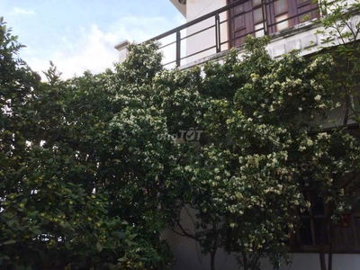 Cho thuê biệt thự hoàng hải hóc môn 700m2, 2 lầu , đường container