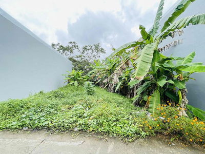 Bán nền thổ cư cách bv nhi đồng mới cần thơ 2km
