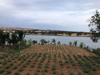 Chính chủ cần bán đất xào phủ hồng wiew hồ suối rao- giá cực rẻ