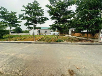 Cần bán đất
