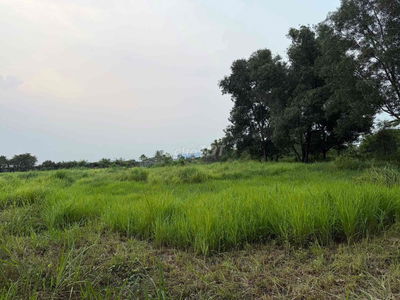 QUỸ ĐẤT HƠN 1HA – MẶT TIỀN DƯƠNG CÔNG KHI, HÓC MÔN