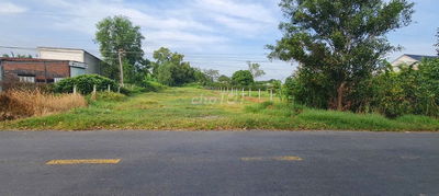 Bán đất 1100m2 tại Đường An Ninh, Xã An Ninh Tây, Đức Hòa, Long An