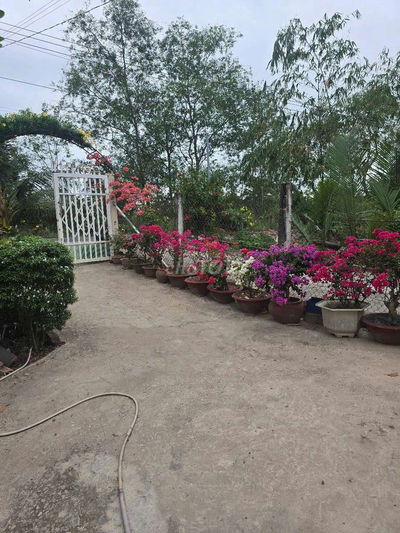 Bán Đất và nhà nghỉ dưỡng