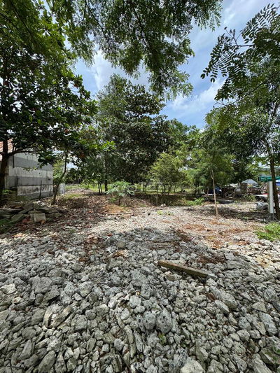 CHO THUÊ 5000M2 có thổ cư MẶT TIỀN NGUYỄN BÌNH