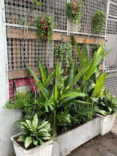 bán nhà hẻm quận 1 chính chủ ***